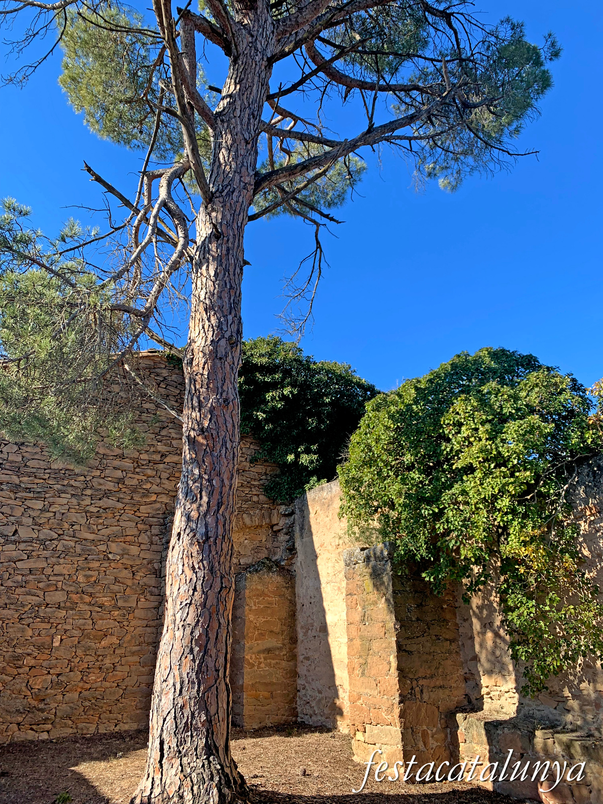 Artesa de Segre - Església nova de Sant Miquel de Montmagastre 