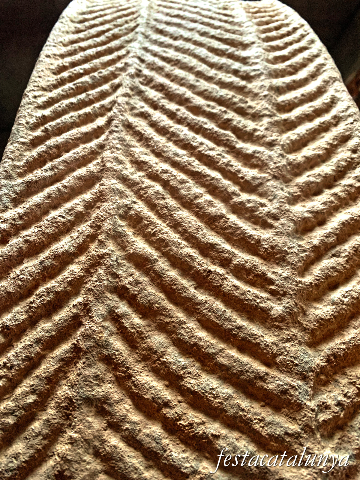 Artesa de Segre - Espai Transmissor: estàtues-menhirs de Seró 