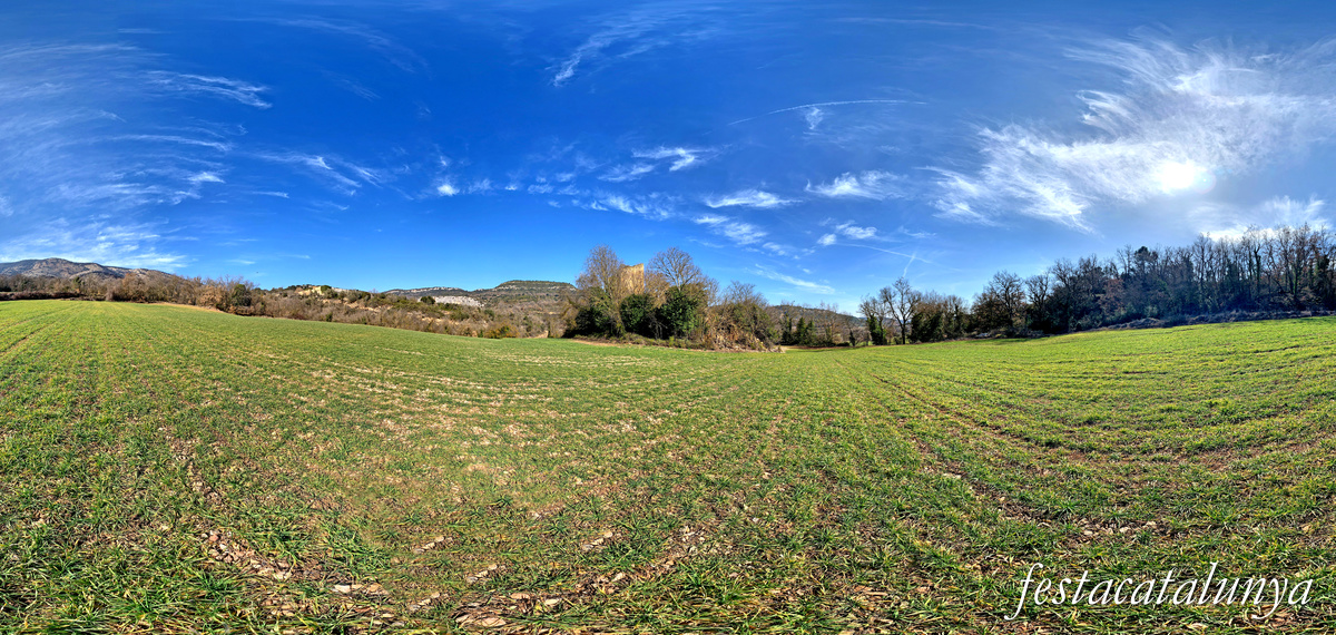 Artesa de Segre - Castell de la Vall d'Ariet 