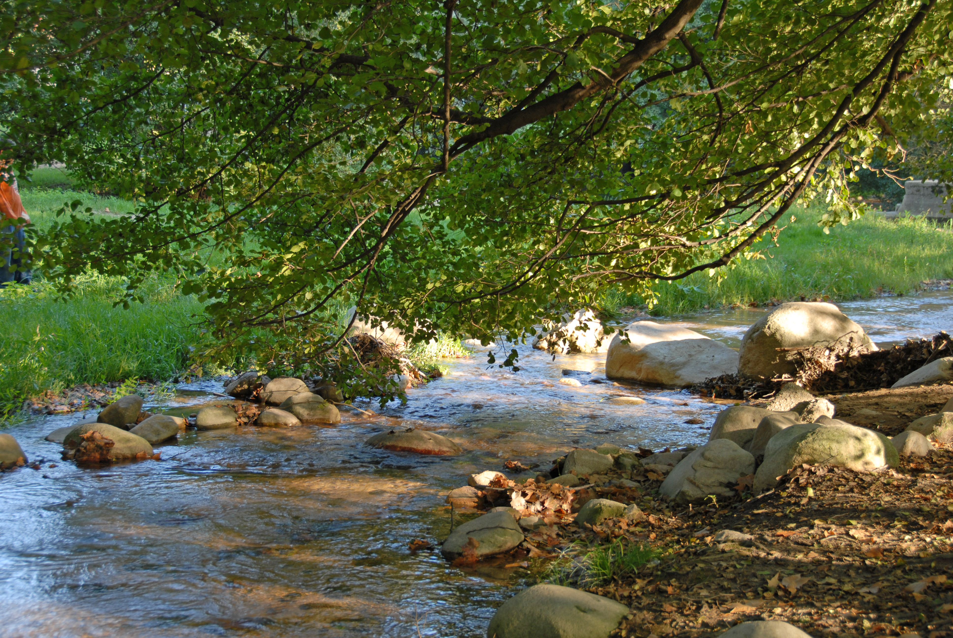 Parc de Sant Salvador de Santa Coloma de Farners