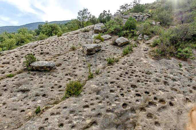 Artesa de Segre - Jaciment d'ignites de la Vall d'Ariet (Foto: www.serradelmontsec)