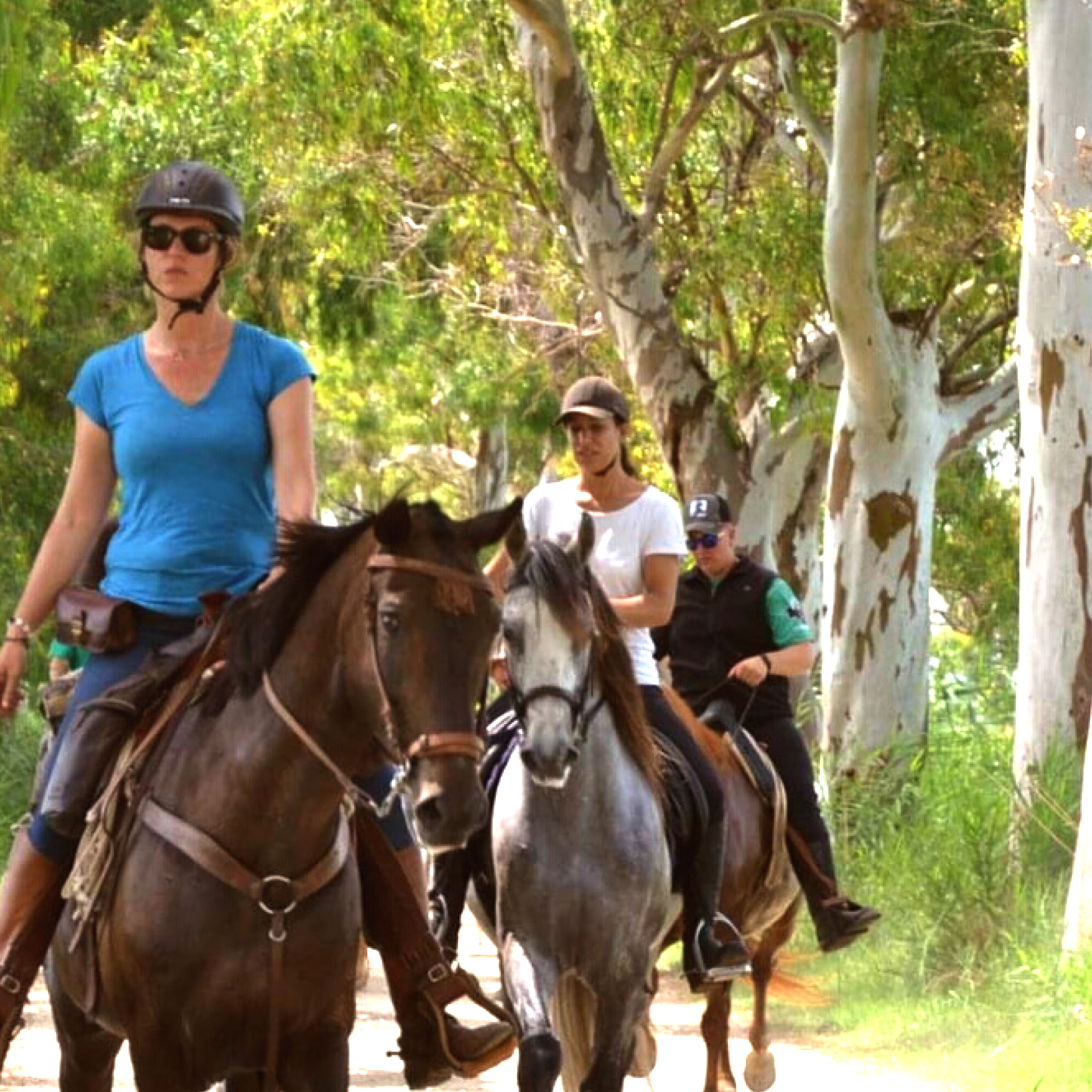 Romeria de Sant Pere a Sant Jaume d'Enveja