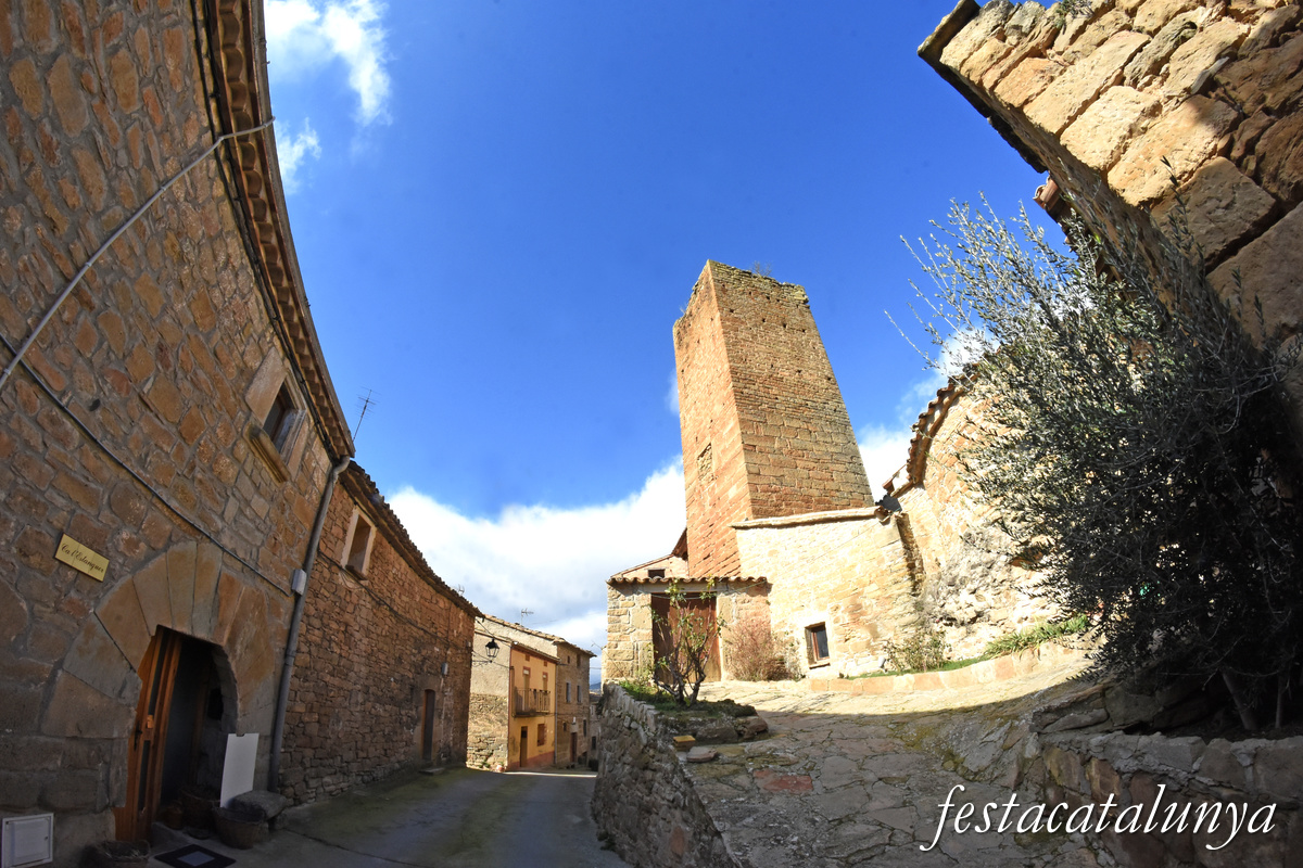 Artesa de Segre - Artesa de Segre - Castell de Vilves 