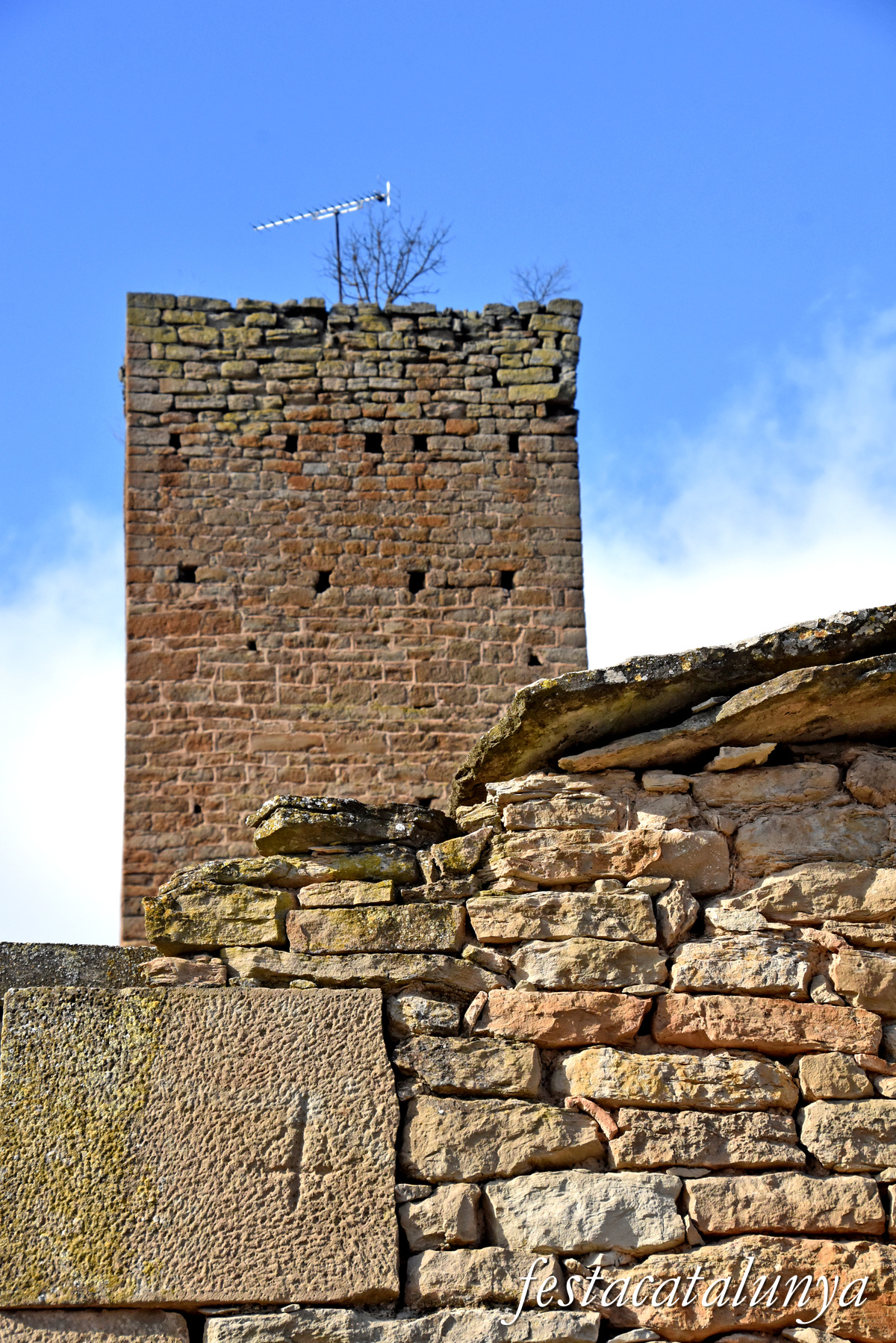 Artesa de Segre - Artesa de Segre - Castell de Vilves 
