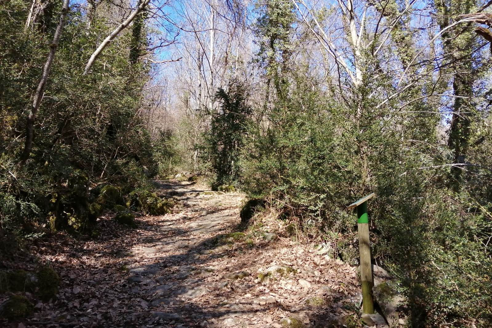 Vilaller - Camí de l'Obago (Foto: Ajuntament) 