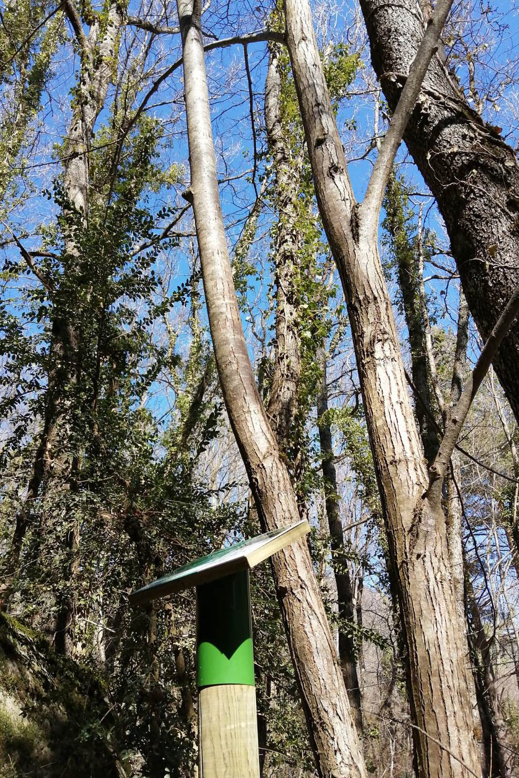 Vilaller - Camí de l'Obago (Foto: Ajuntament)