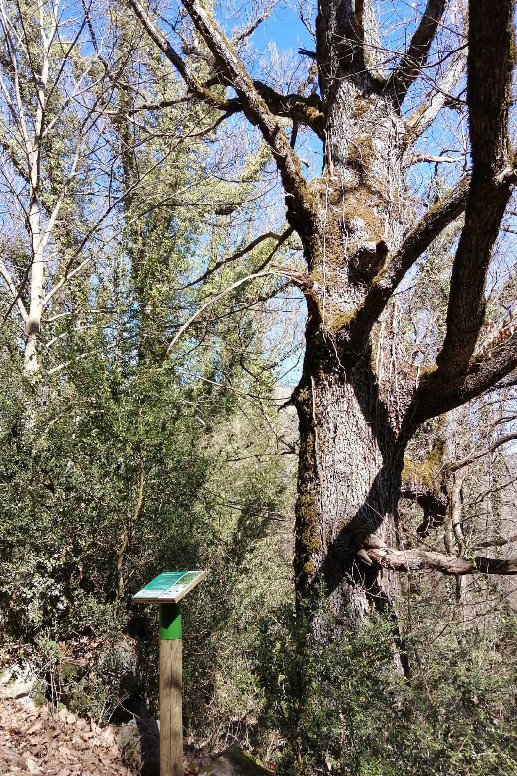 Vilaller - Camí de l'Obago (Foto: Ajuntament) 