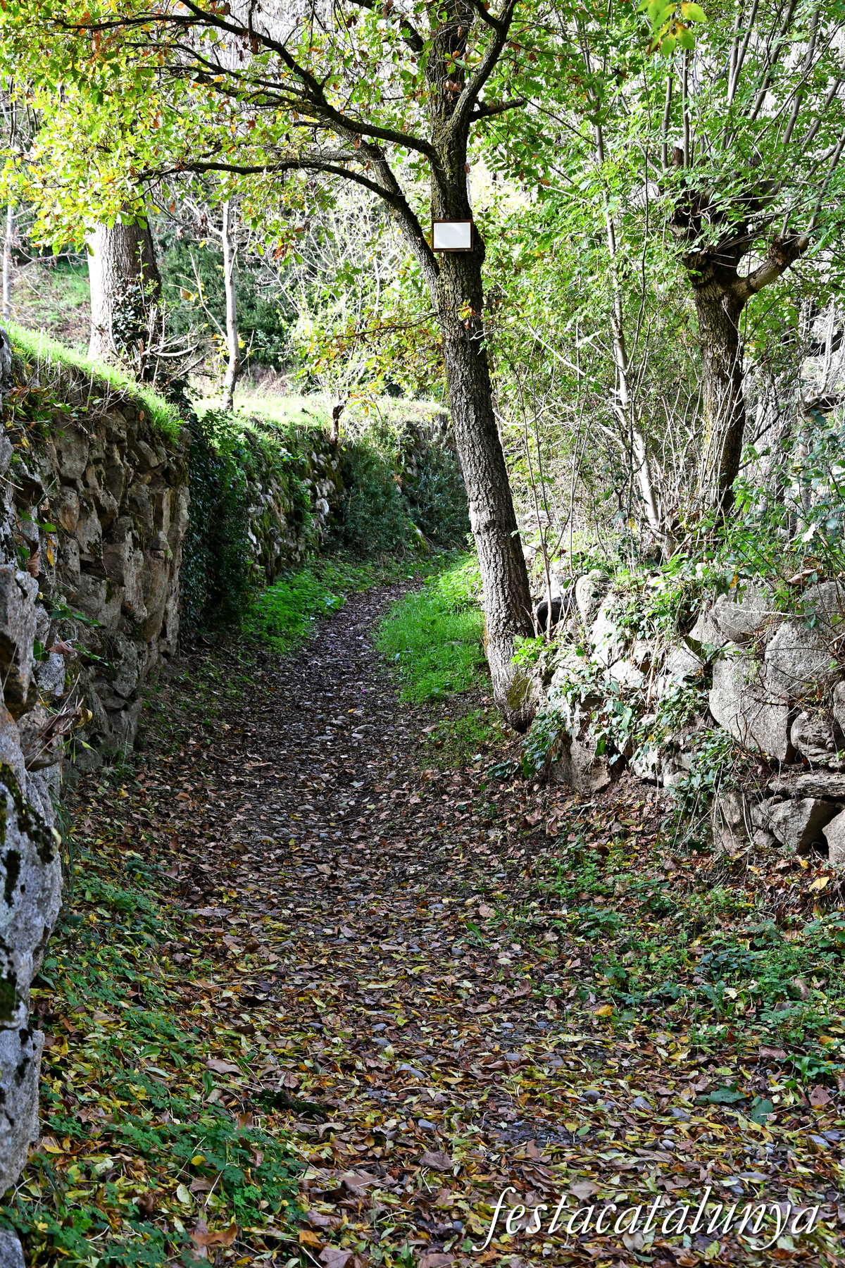 Vilaller - Camí de l'Obago