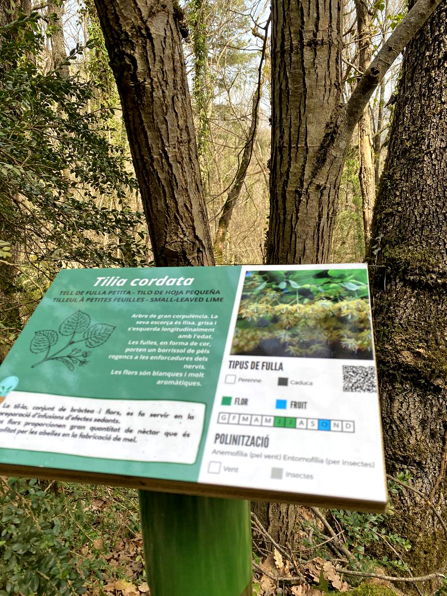 Vilaller - Camí de l'Obago (Foto: Patronat Comarcal de Turisme de l'Alta Ribagorça)