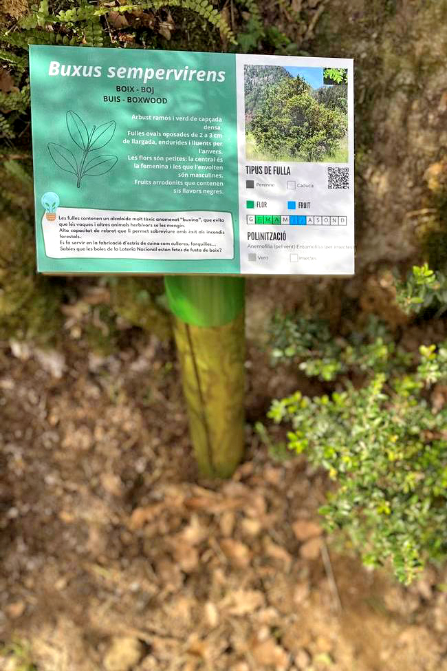 Vilaller - Camí de l'Obago (Foto: Patronat Comarcal de Turisme de l'Alta Ribagorça)