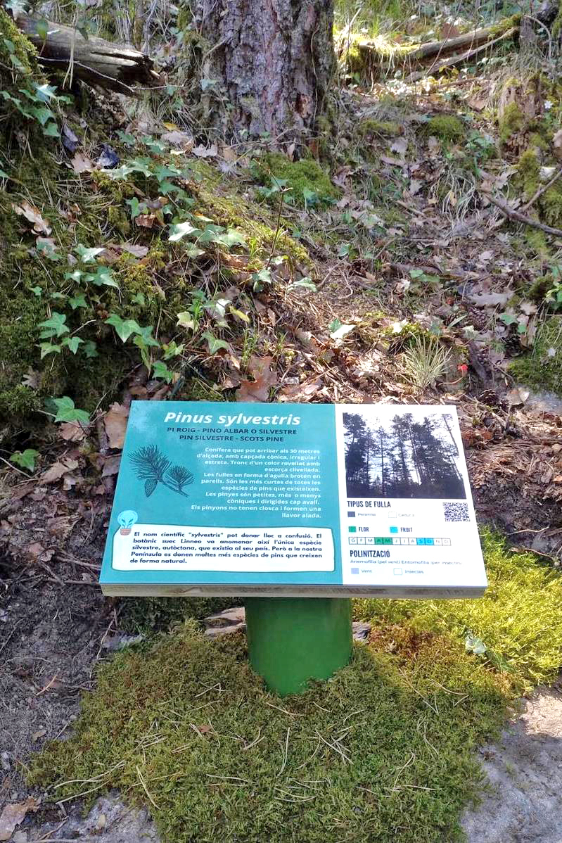 Vilaller - Camí de l'Obago (Foto: Patronat Comarcal de Turisme de l'Alta Ribagorça)