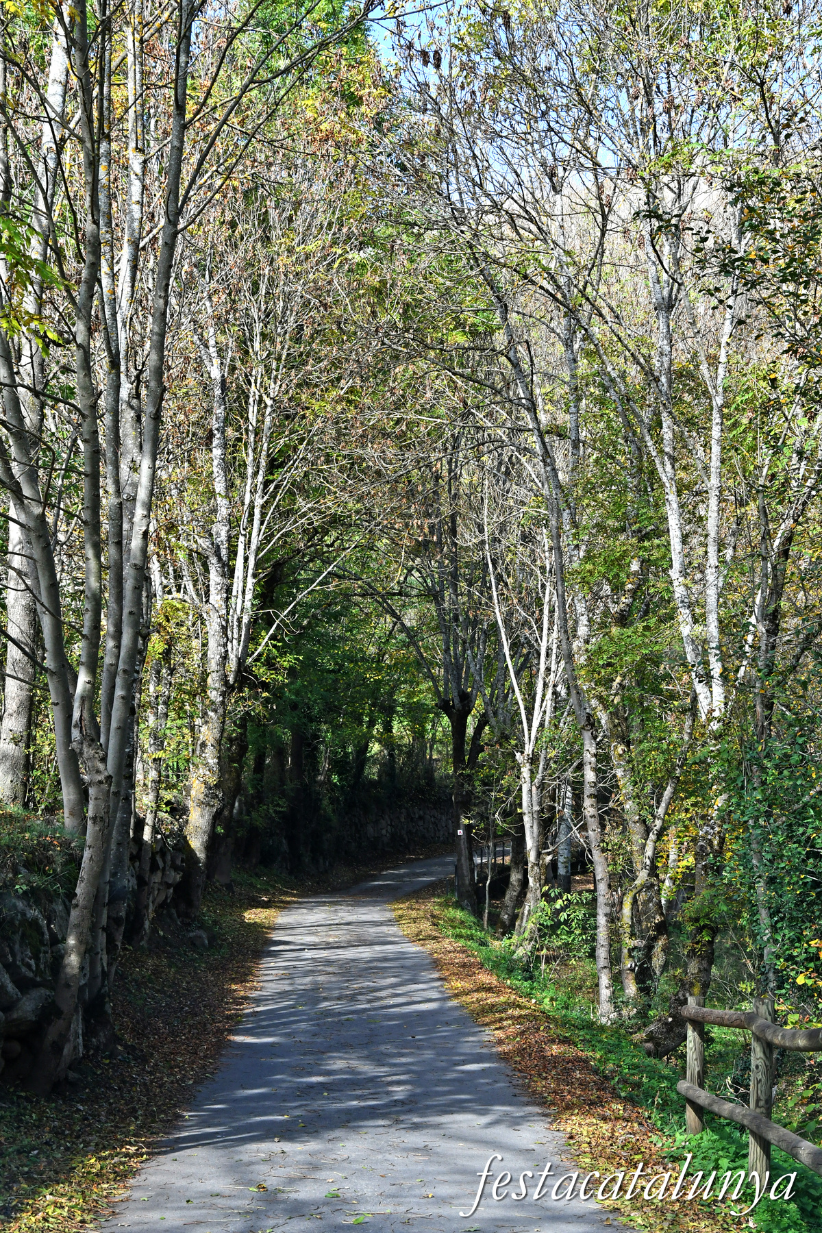 Vilaller - Camí de la Creu 