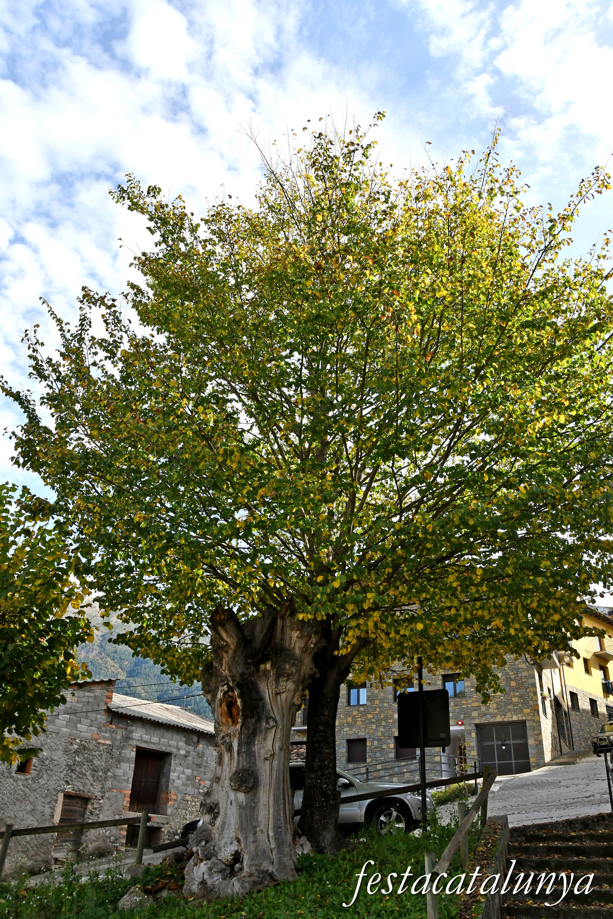 Vilaller - L'Om del Trinquet 