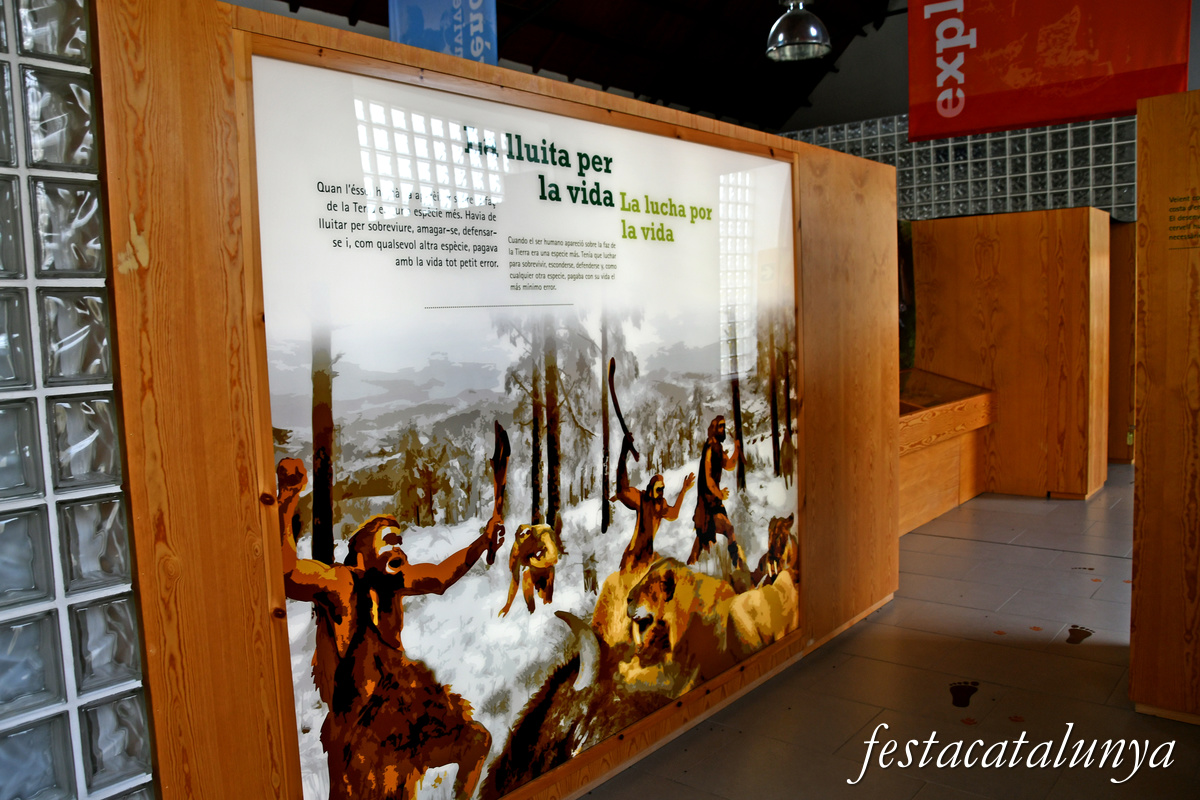 Vilaller - La Serradora de Senet de Barravés 