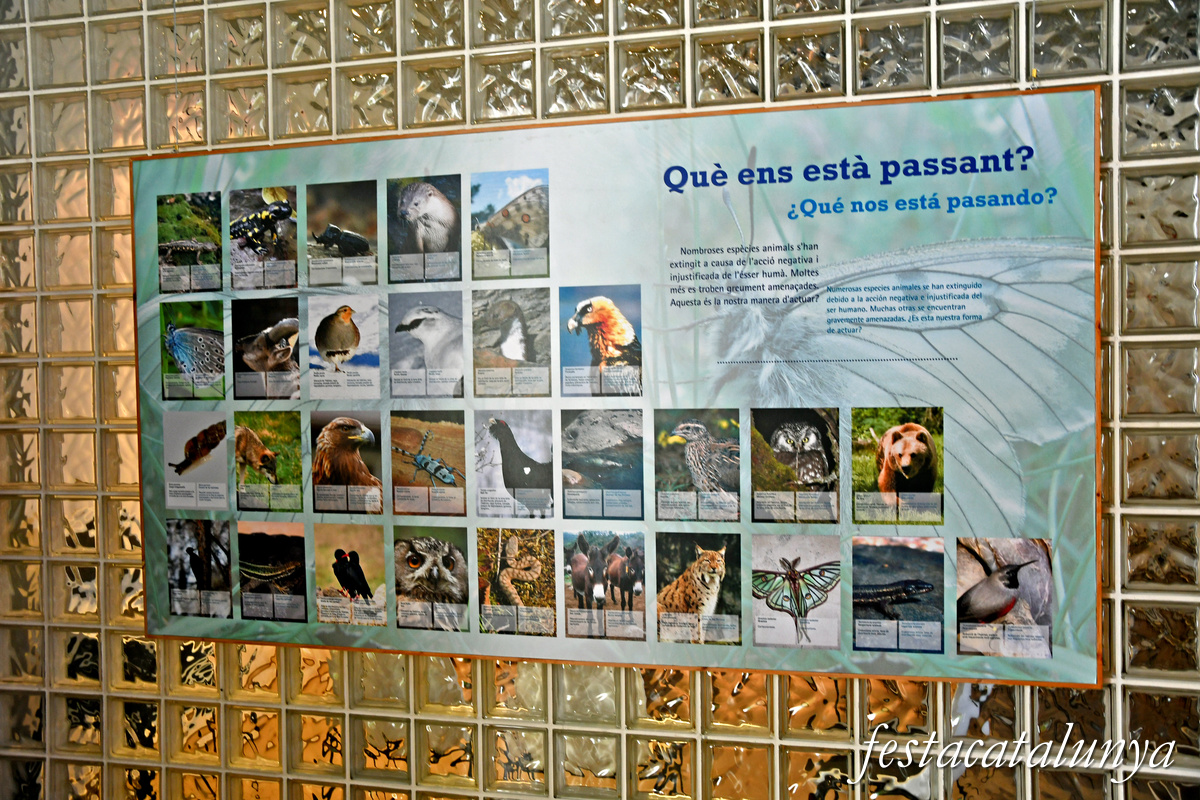 Vilaller - La Serradora de Senet de Barravés