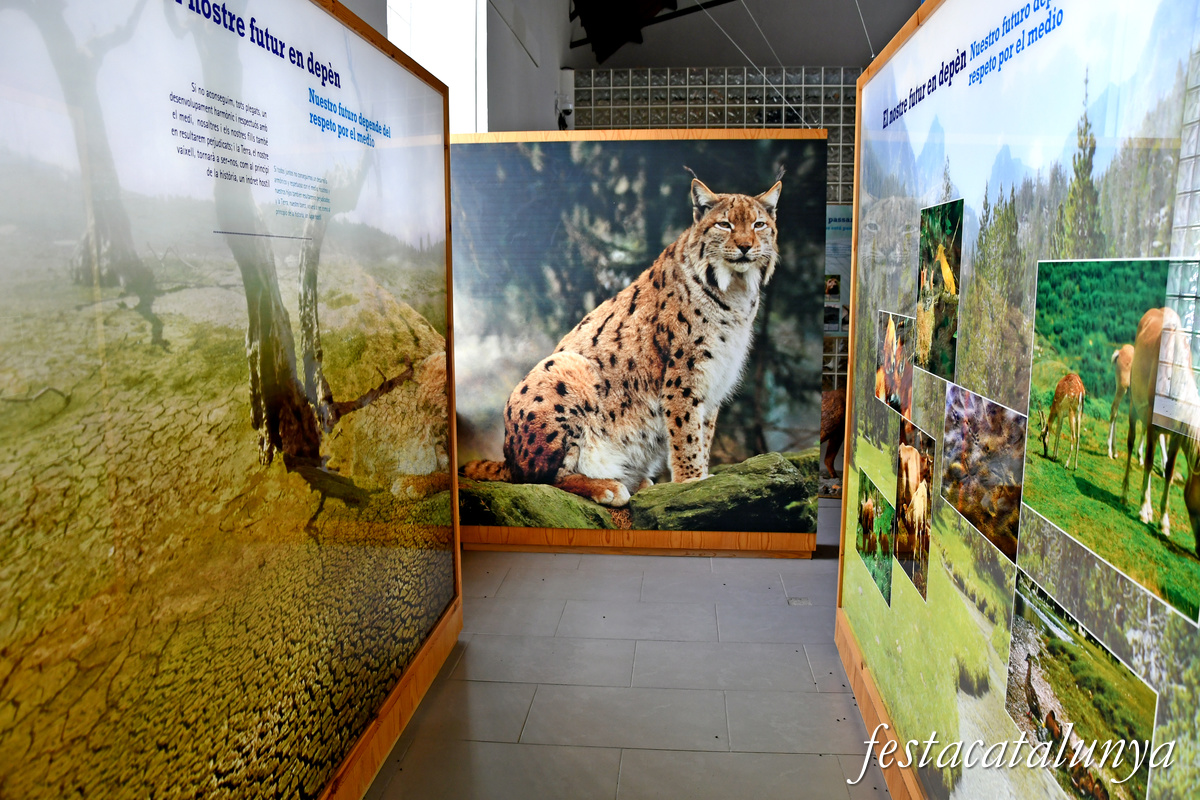 Vilaller - La Serradora de Senet de Barravés 