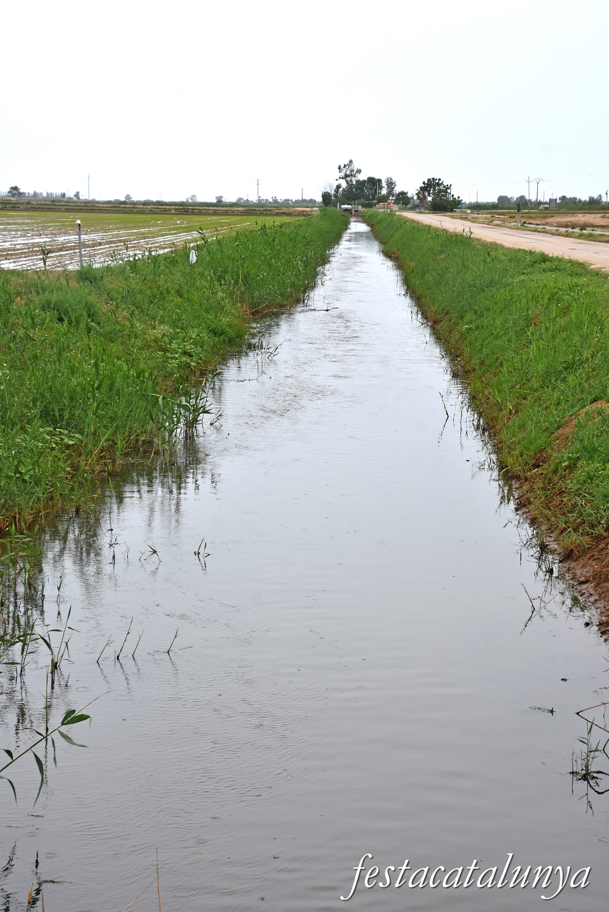 Deltebre - Arrossars, un paisatge agrari excepcional 