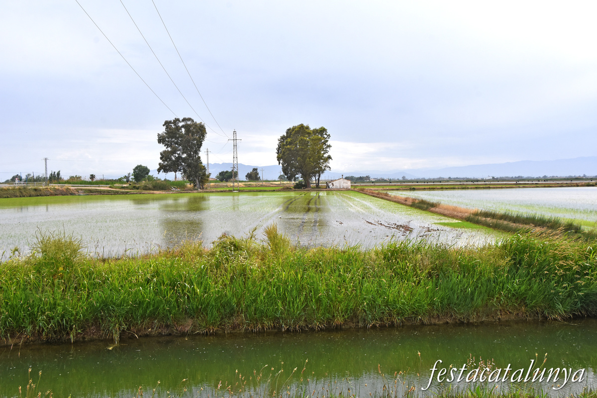 Deltebre - Arrossars, un paisatge agrari excepcional 