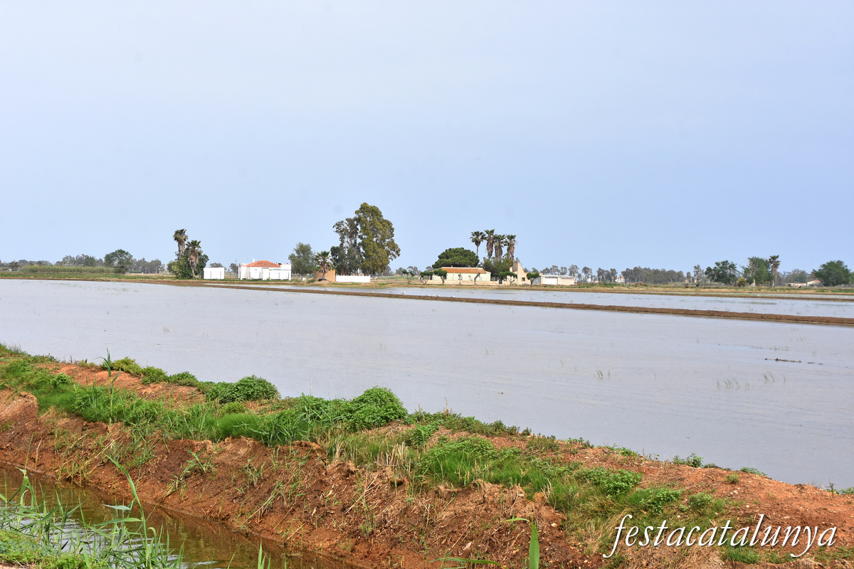 Deltebre - Arrossars, un paisatge agrari excepcional 