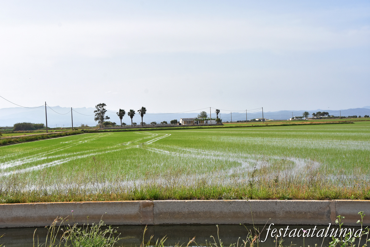 Deltebre - Arrossars, un paisatge agrari excepcional 