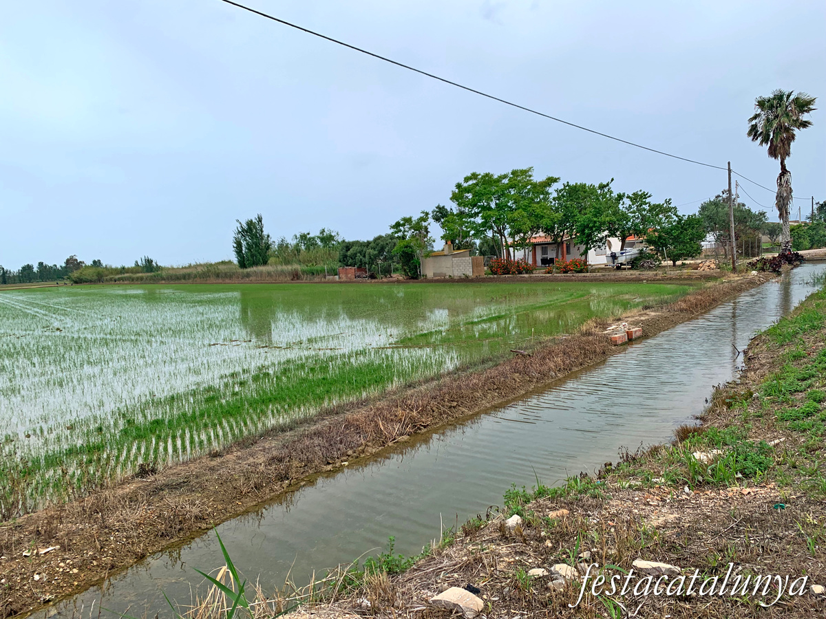 Deltebre - Arrossars, un paisatge agrari excepcional 