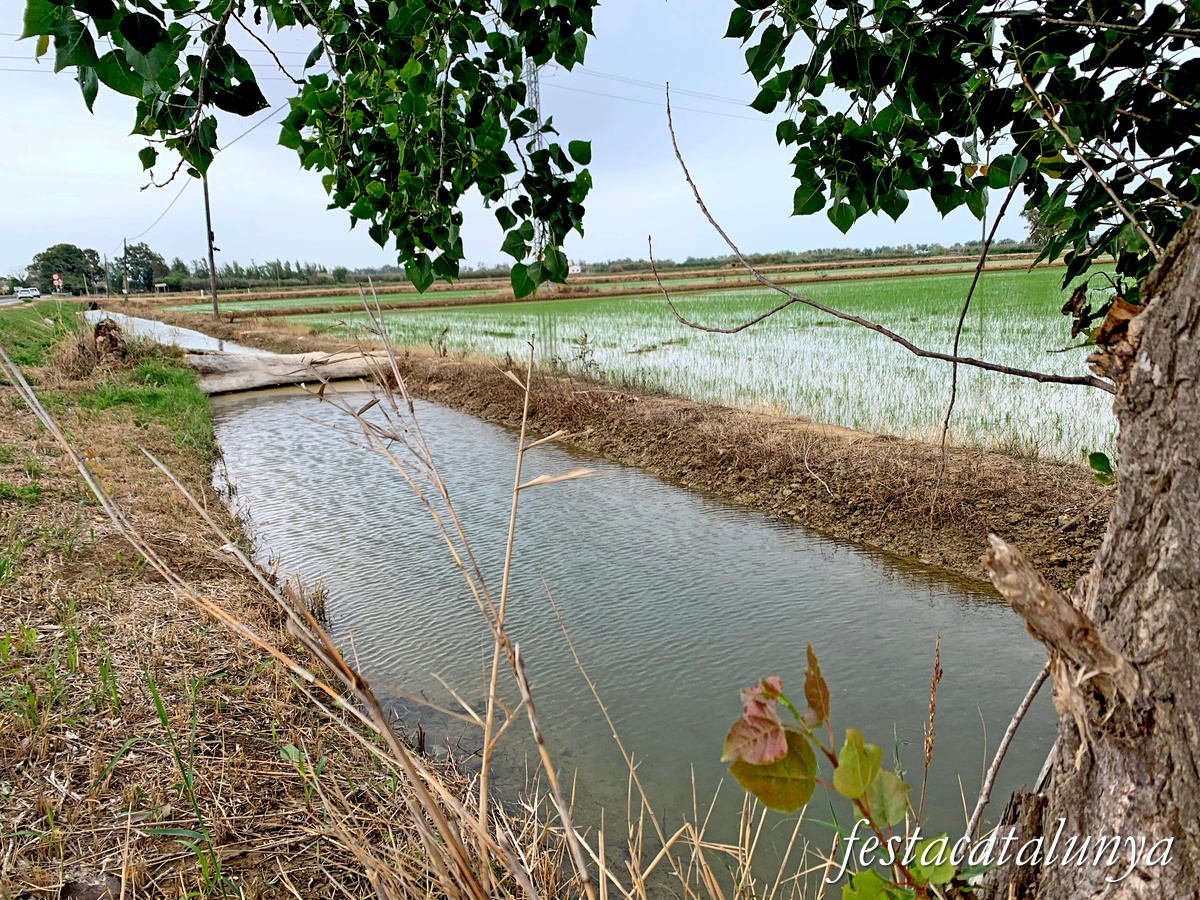 Deltebre - Arrossars, un paisatge agrari excepcional 