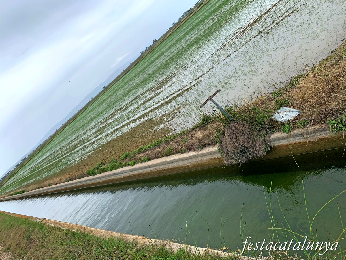 Deltebre - Arrossars, un paisatge agrari excepcional 