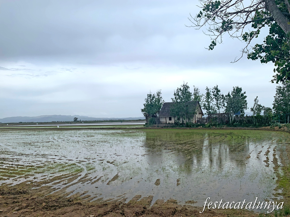 Deltebre - Arrossars, un paisatge agrari excepcional 