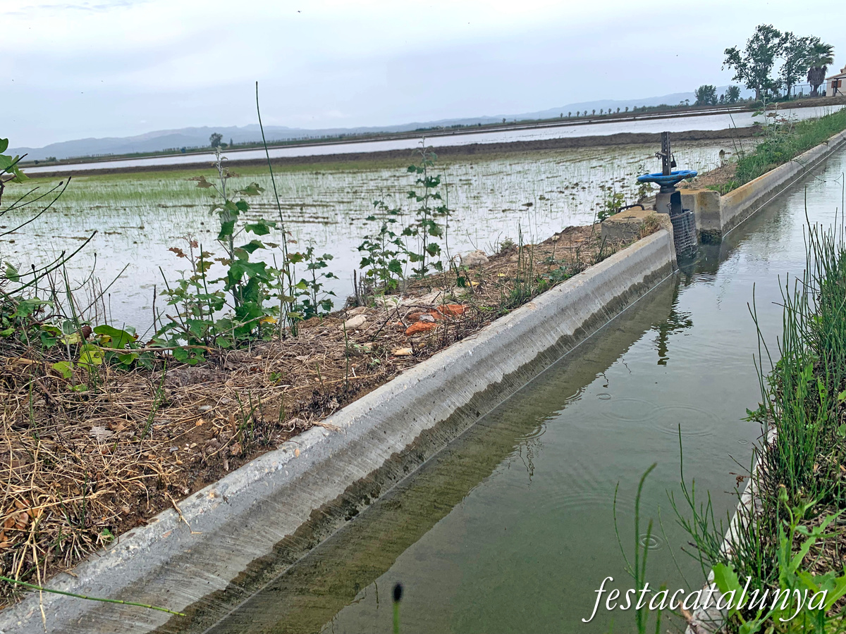 Deltebre - Arrossars, un paisatge agrari excepcional 