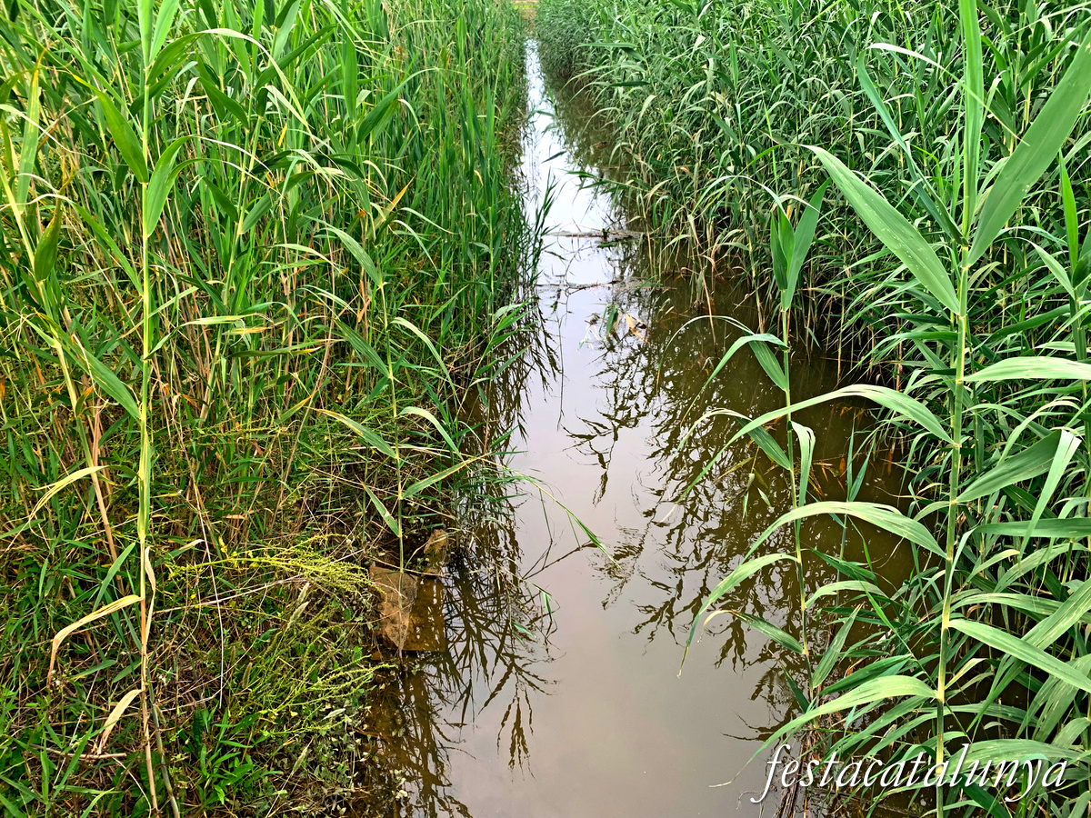 Deltebre - Els Ponts dels Moros o del Rei 