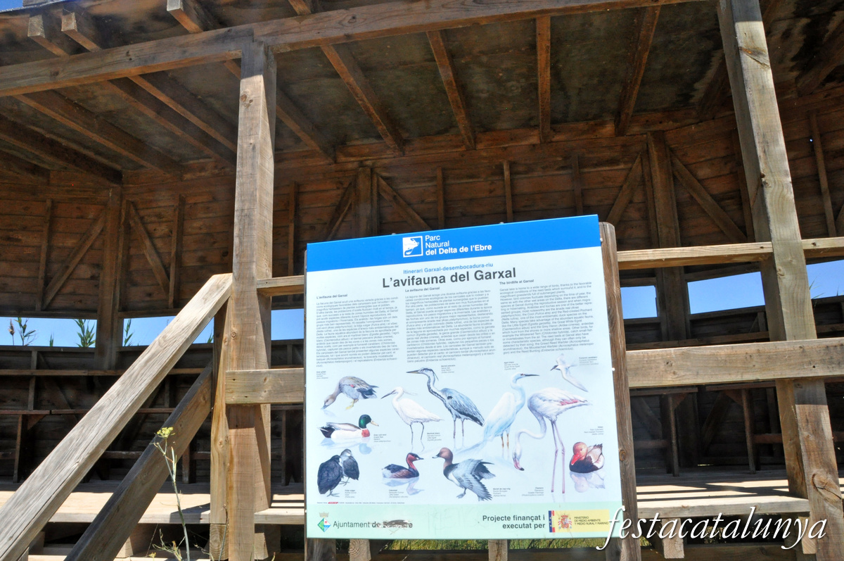 Deltebre - Miradors del Garxal del riu Ebre 