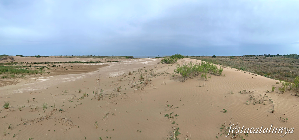 Deltebre - Miradors del Garxal del riu Ebre 