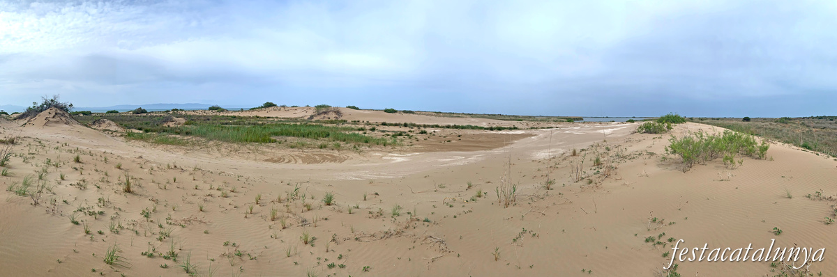 Deltebre - Miradors del Garxal del riu Ebre 