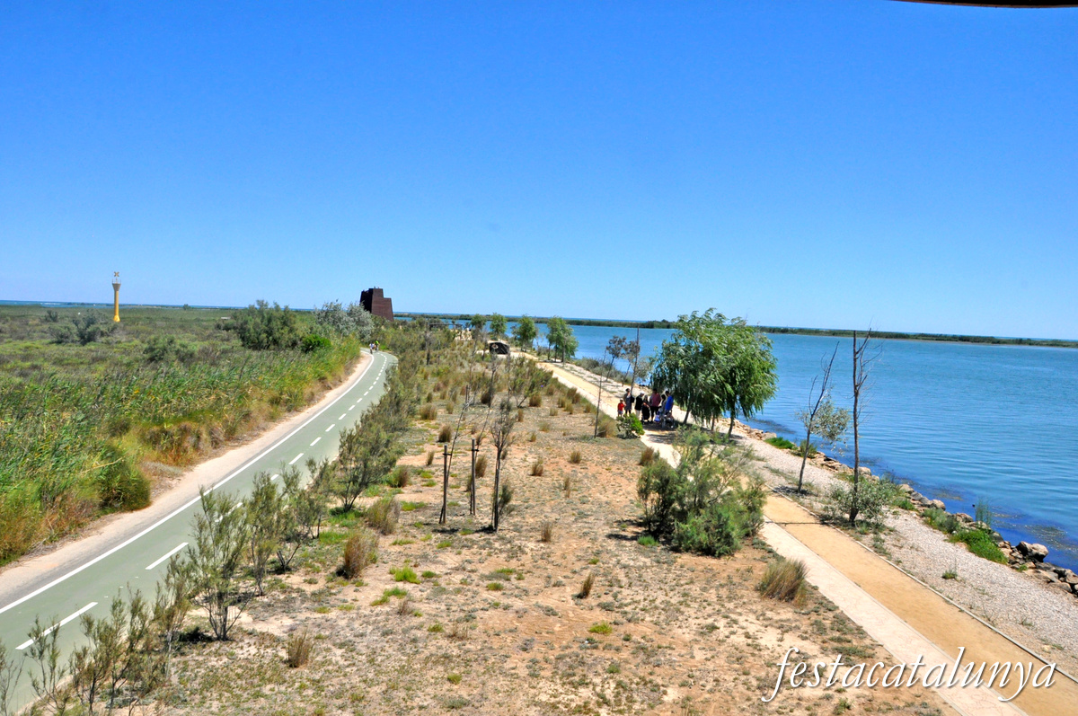 Deltebre - Mirador del riu Ebre 
