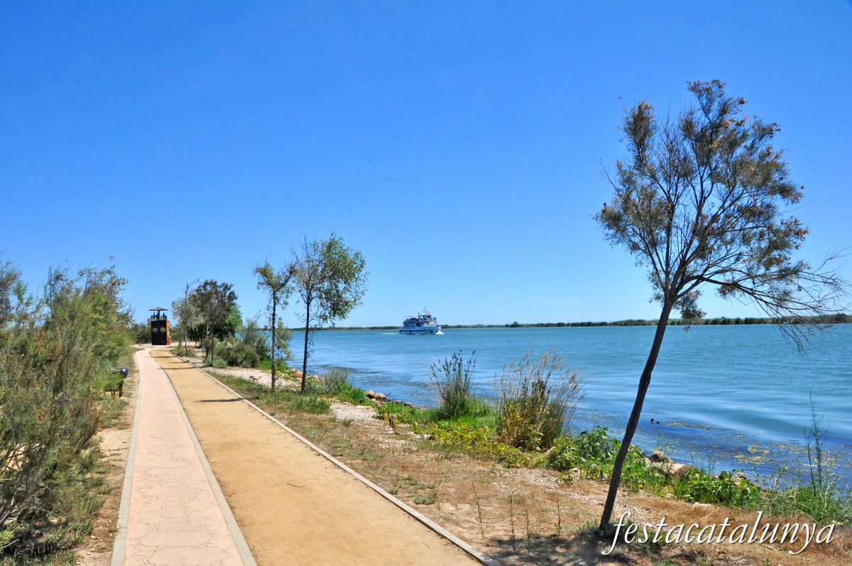 Deltebre - El riu Ebre a la desembocadura 