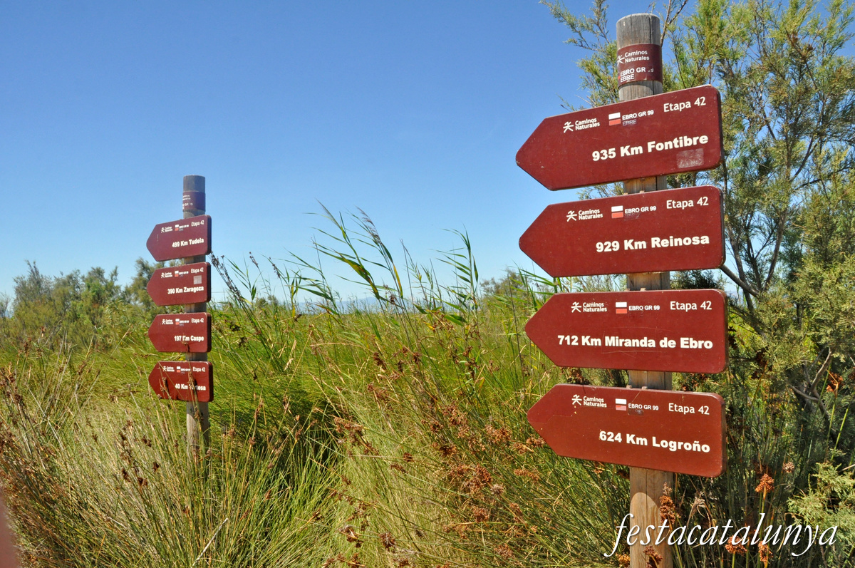 Deltebre - El riu Ebre a la desembocadura 