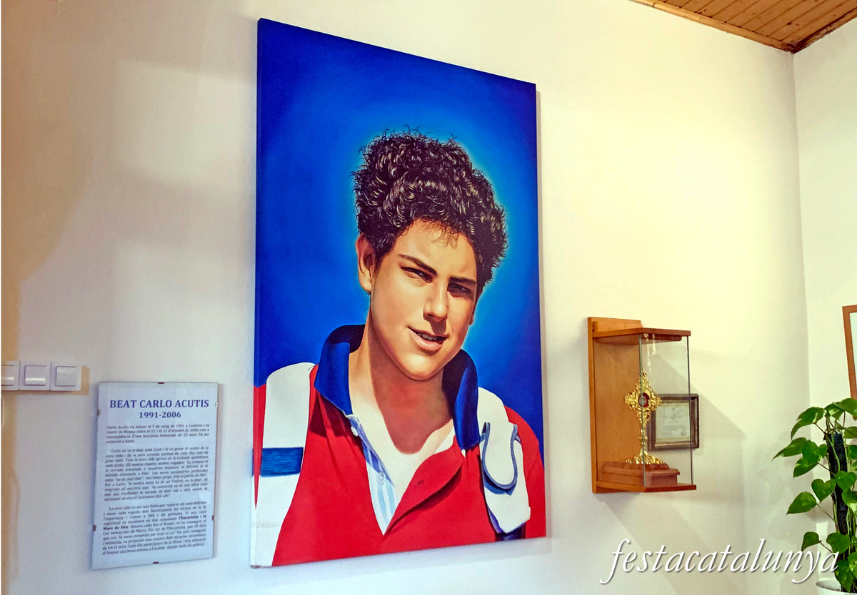 Deltebre - Església de Sant Miquel de la Cava - Beat Caroli Acutis 