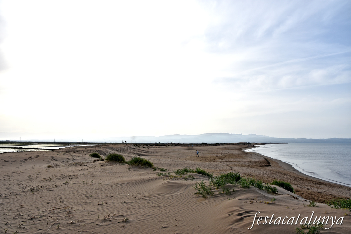 Deltebre - Platja del Fangar 