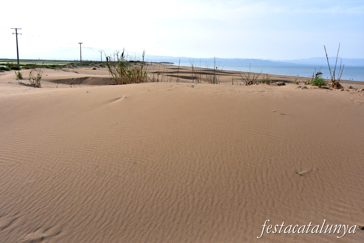 Deltebre - Platja de la Marquesa 