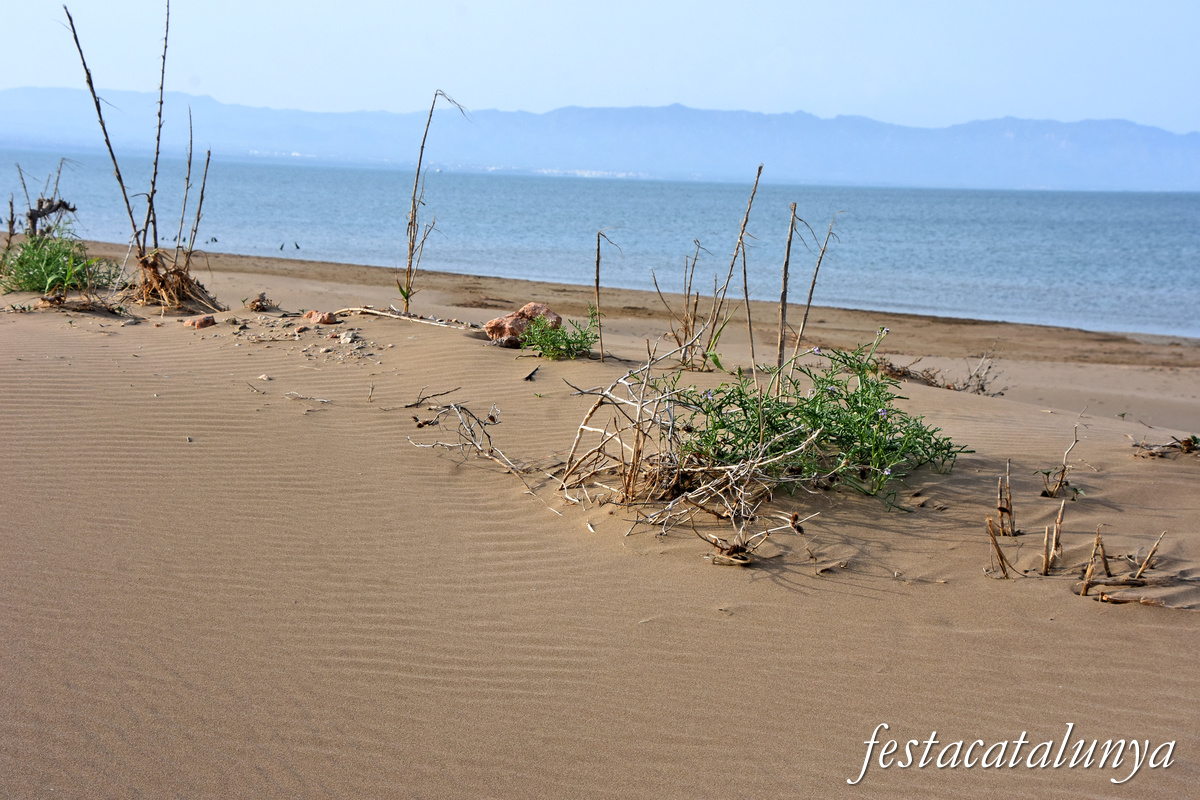 Deltebre - Platja de la Marquesa
