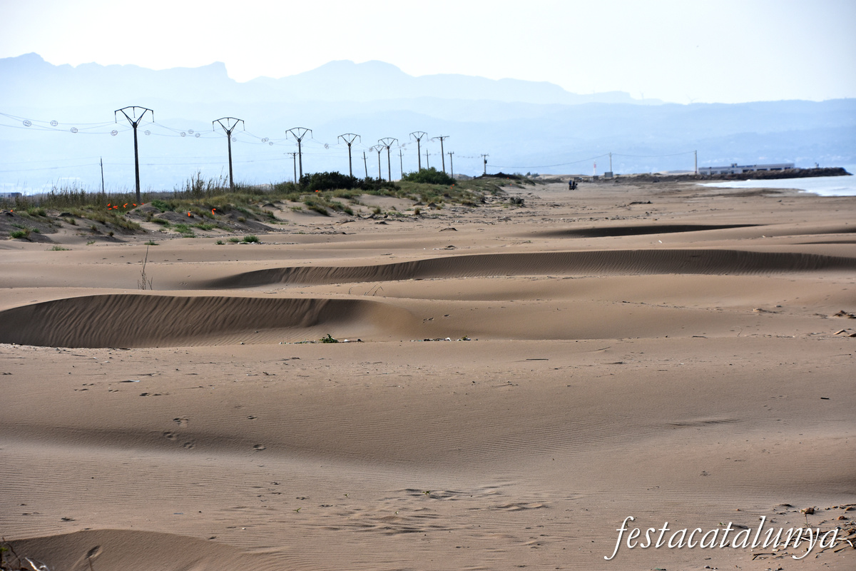 Deltebre - Platja de la Marquesa 