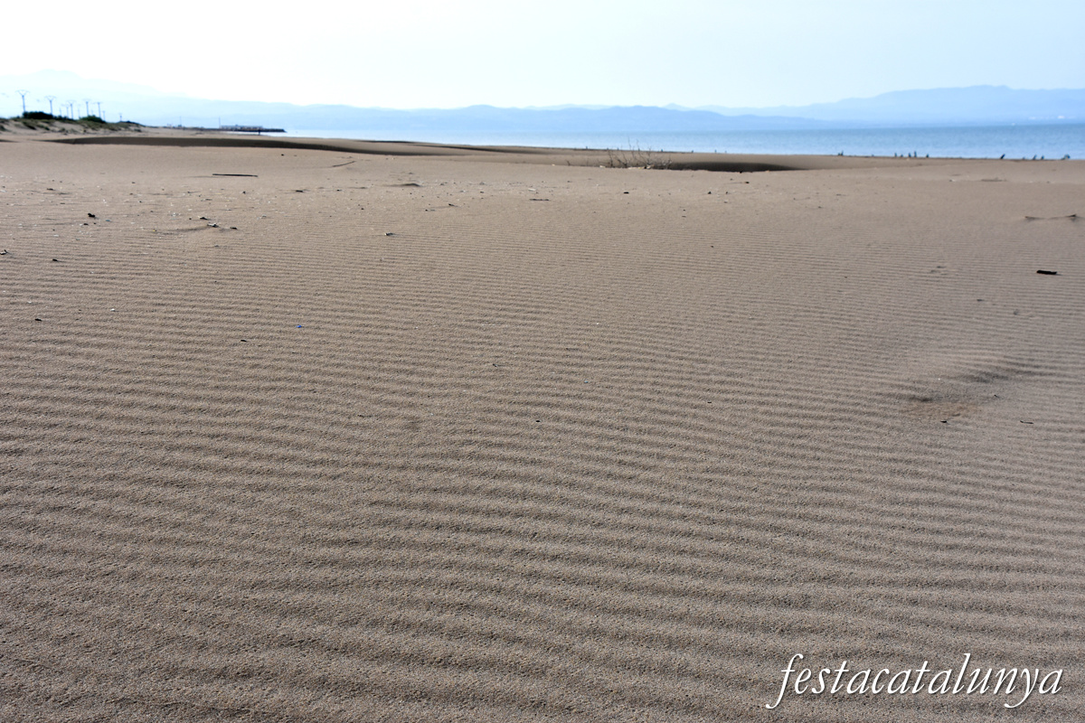 Deltebre - Platja de la Marquesa 