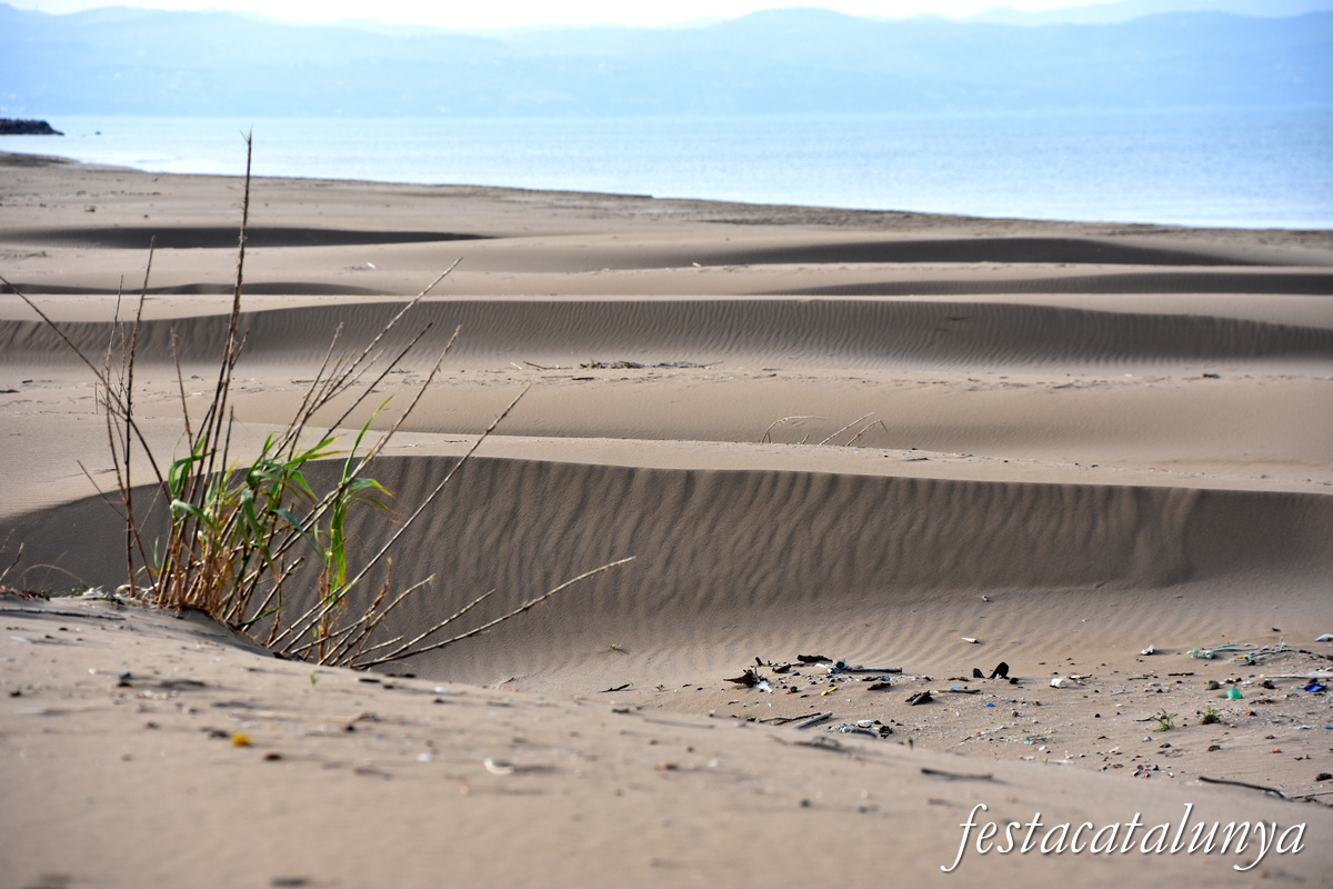 Deltebre - Platja de la Marquesa 