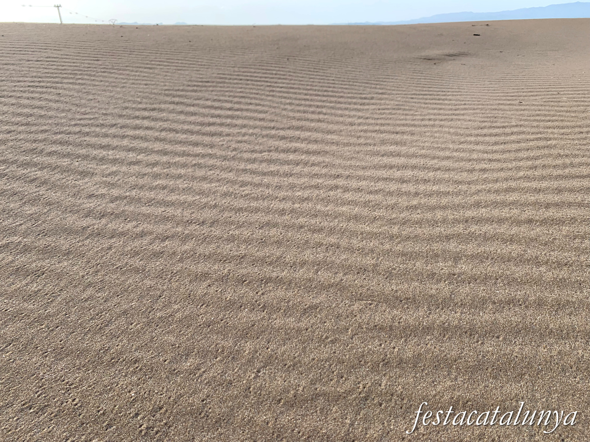Deltebre - Platja de la Marquesa 
