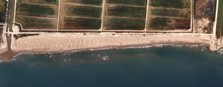 Deltebre - Platja de la Marquesa (Foto: www.atraccionatural.cat)