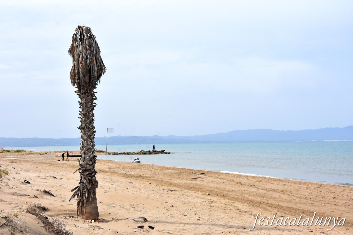 Deltebre - Platja de la Bassa de l'Arena 