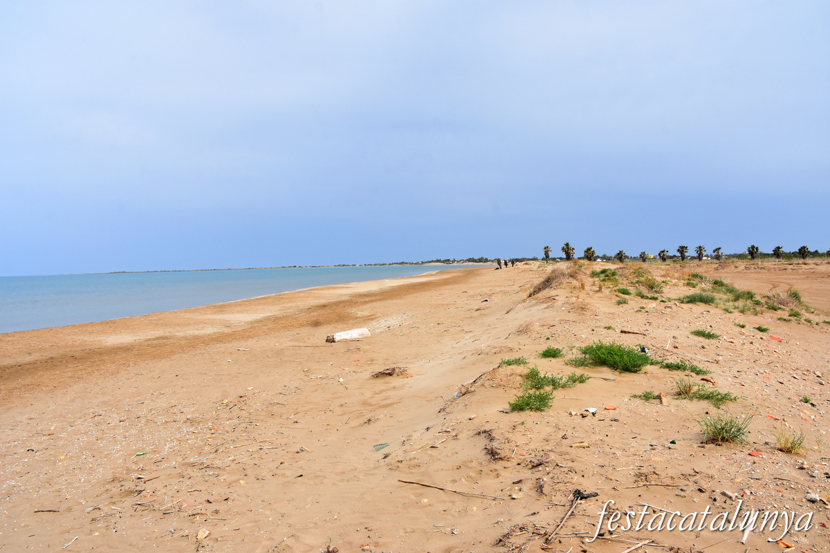 Deltebre - Platja de la Bassa de l'Arena 