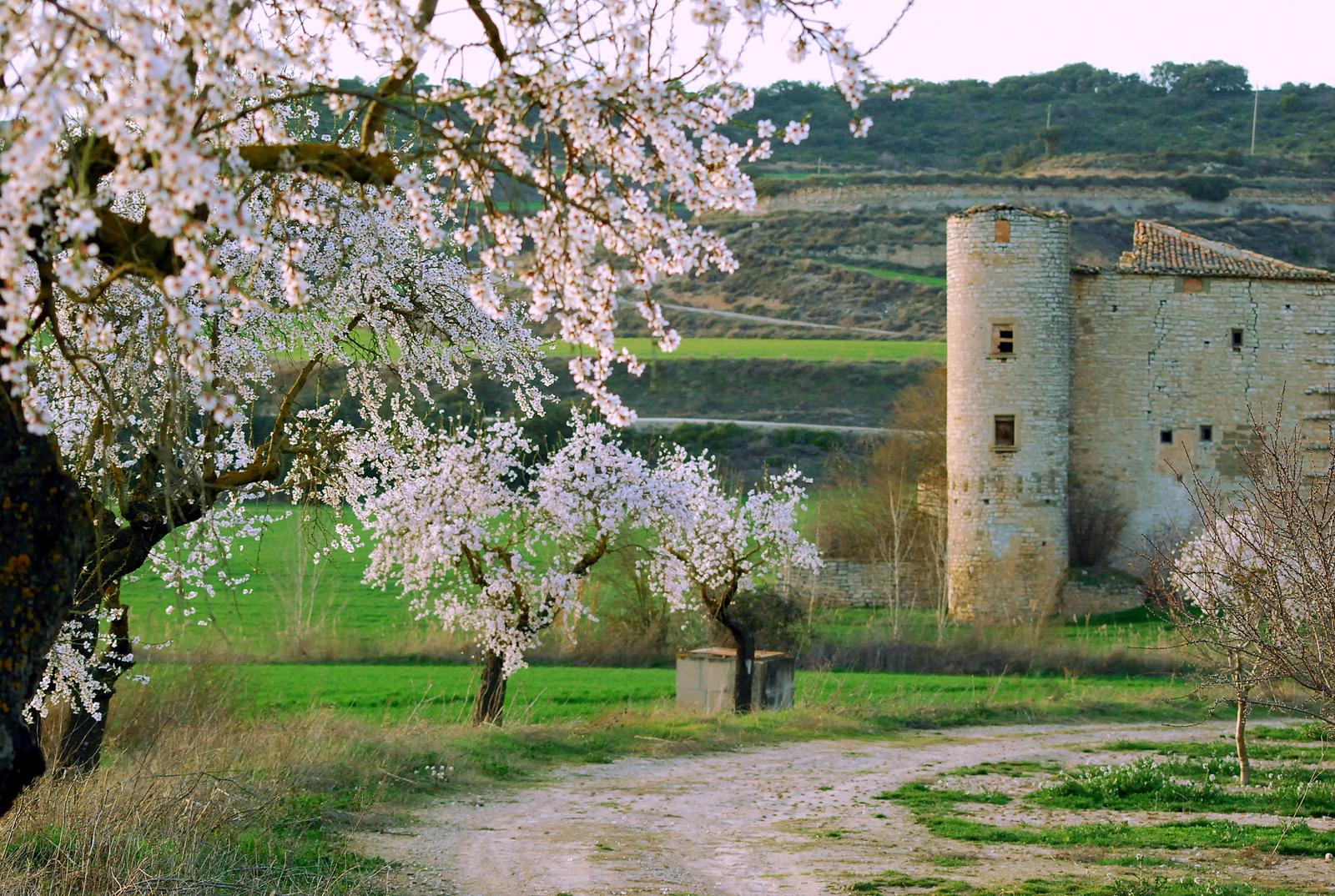 Rutes per la Granyanella