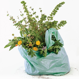 Jornada Gastronòmica de les Plantes Oblidades a Igualada