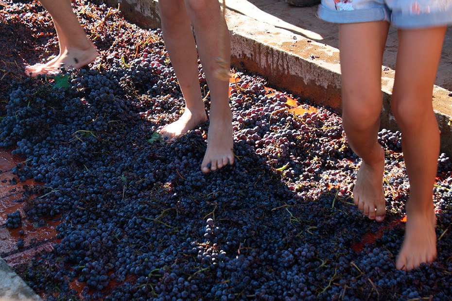Festa del Most a Sant Quirze del Vallès
